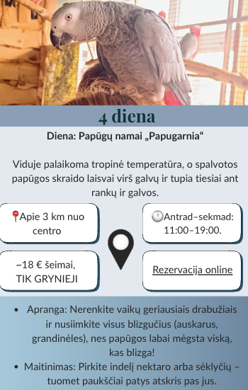 Screenshot 2025-12-06 at 04.33.24 Lenkija ir Slovakija žiemą su vaikais