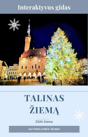 Talinas žiemą