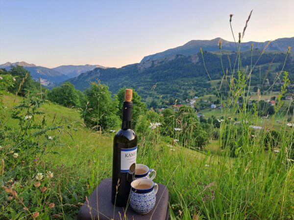 🗺️ Bosnija ir Hercegovina (+ Serbija)-interaktyvus žemėlapis