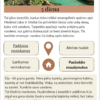 Alpių ir Adrijos žiedas