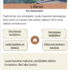 Alpių ir Adrijos žiedas